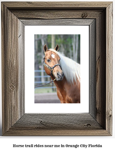 horse trail rides near me in Orange City, Florida